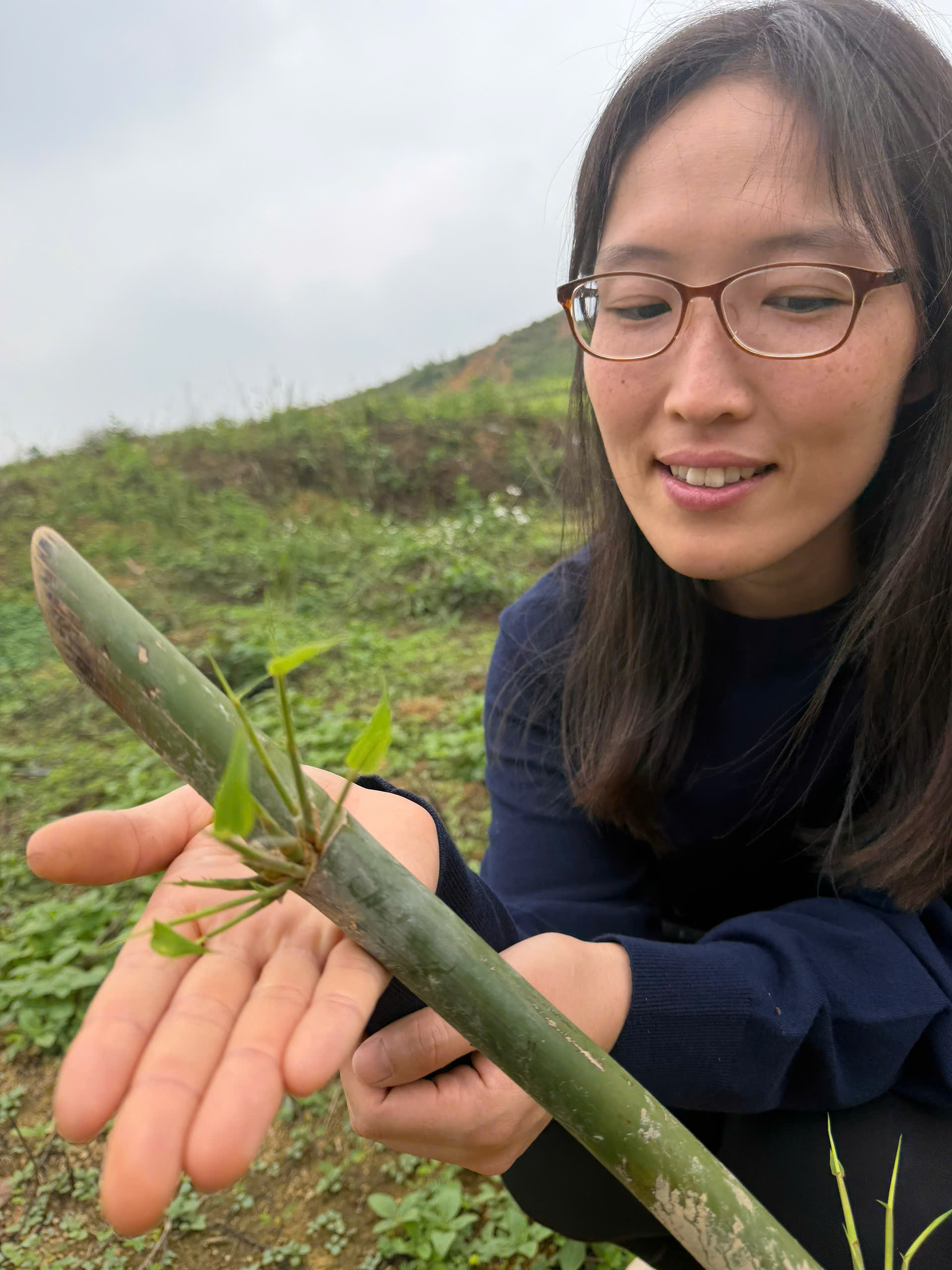 Nông dân Việt Nam thu hoạch nông sản